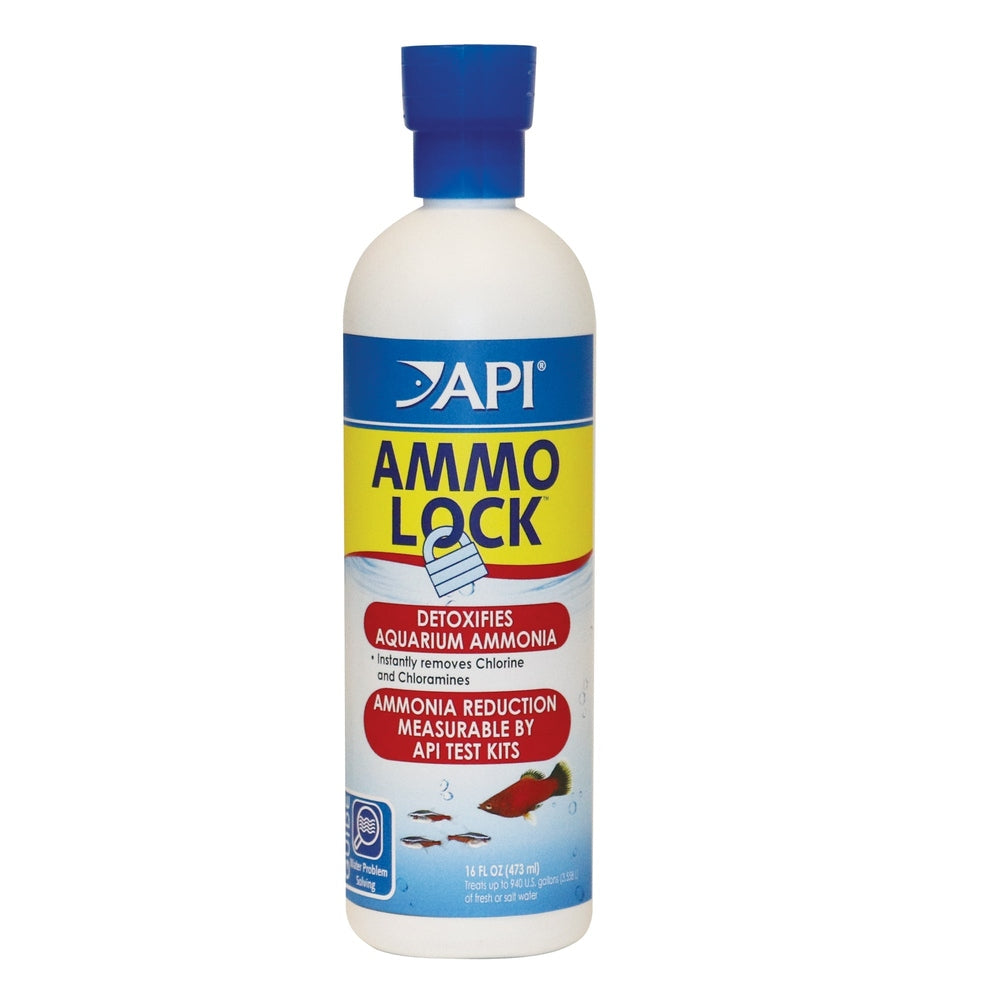 API Cond Ammo Lock 4oz