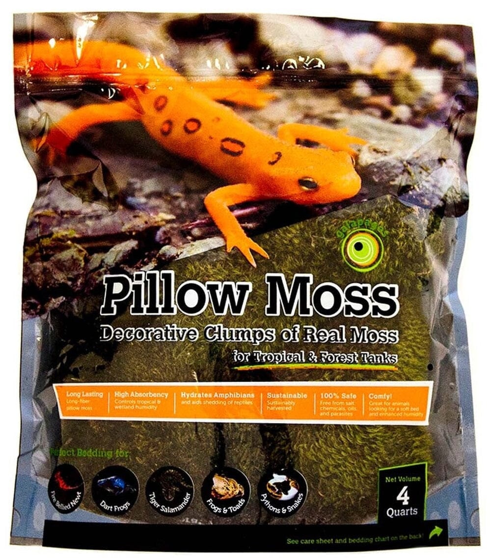 Galapagos Pillow Moss, 4qt Galapagos 