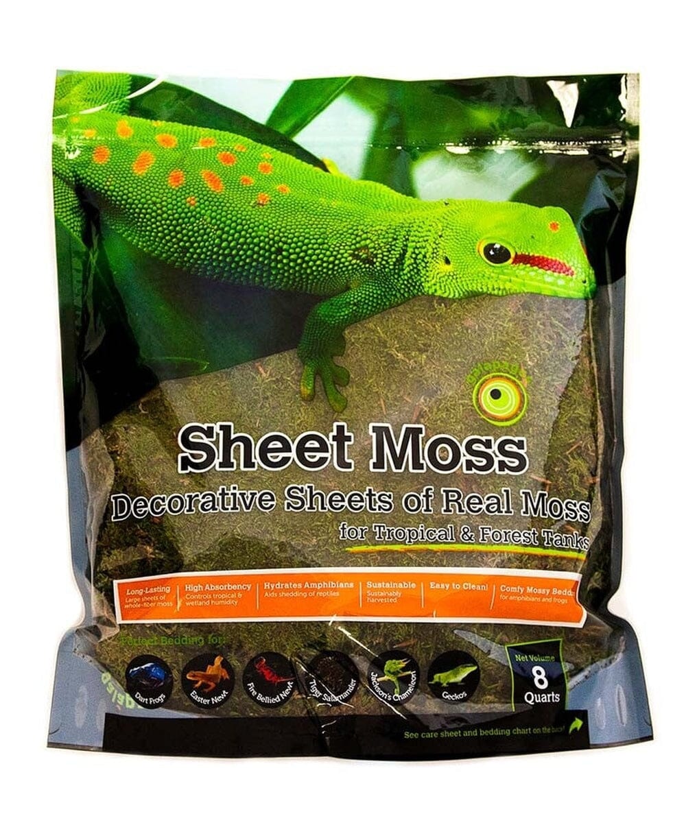 Galapagos Sheet Moss, 8qt Galapagos