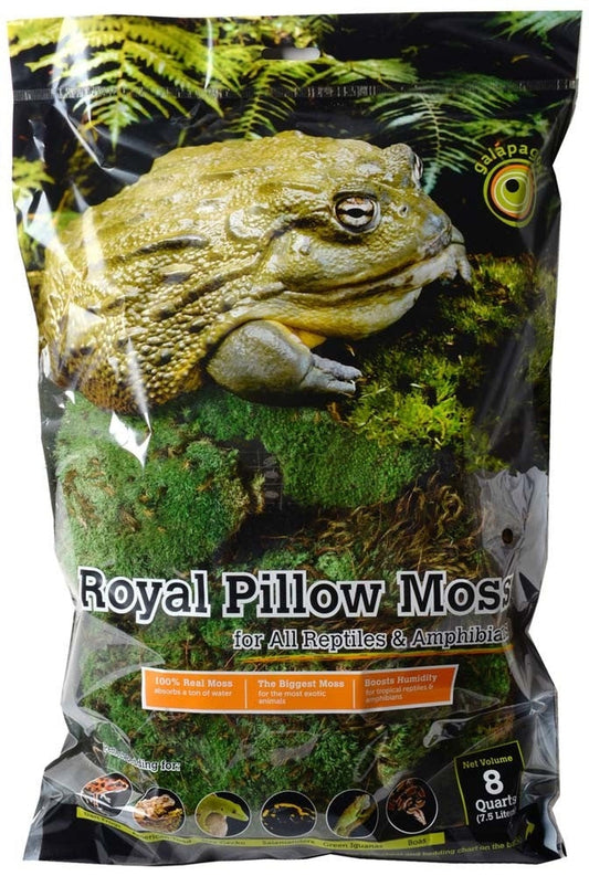 Galapagos Royal Pillow Moss, 8qt Galapagos