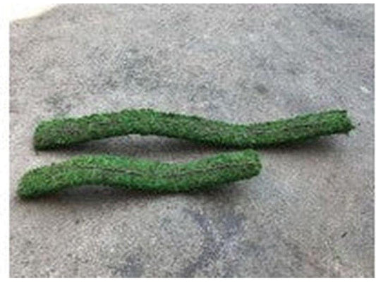 Galapagos Flexible Bridge, 24" (Fresh Green) Galapagos