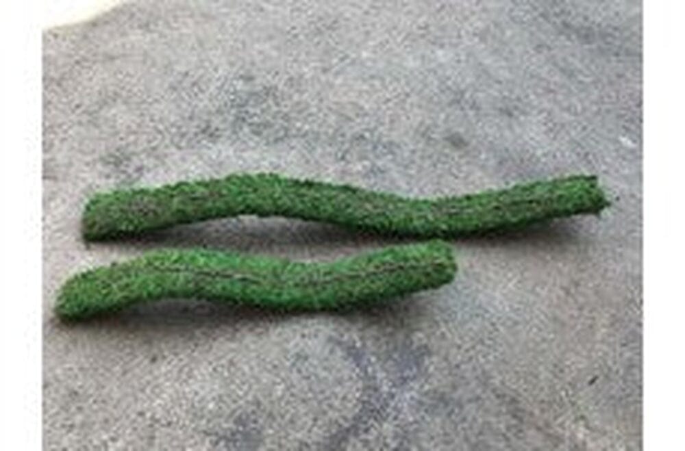 Galapagos Flexible Bridge, 24" (Fresh Green) Galapagos