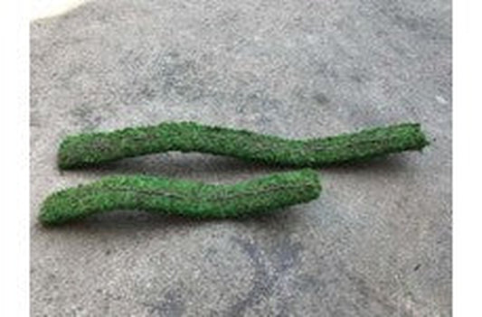 Galapagos Flexible Bridge, 24" (Fresh Green) Galapagos