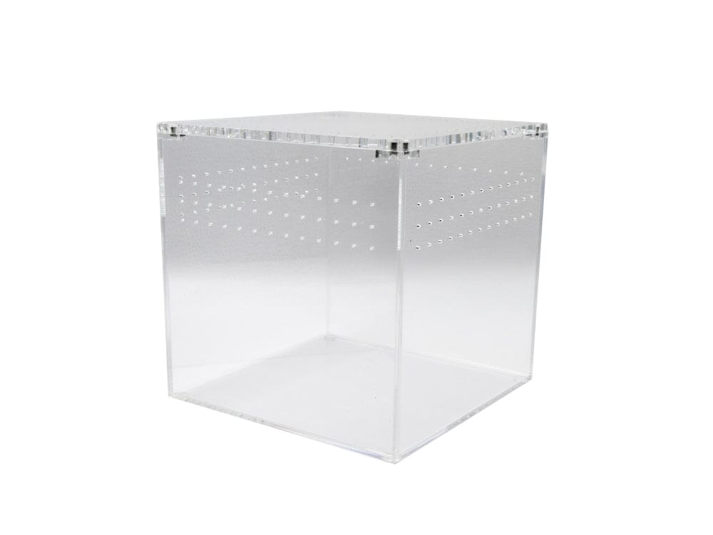 Acrylic Habitat 12x12x12