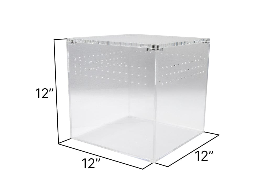 Acrylic Habitat 12x12x12