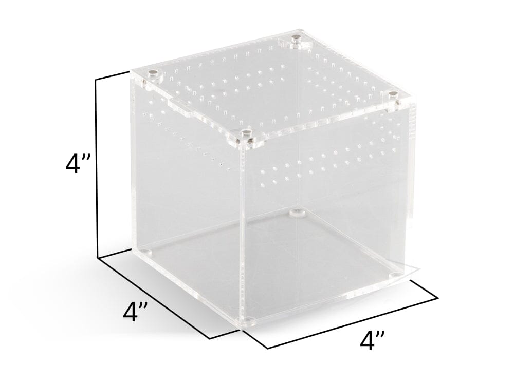 Acrylic Habitat 4x4x4