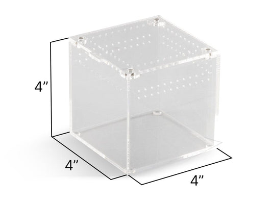 Acrylic Habitat 4x4x4