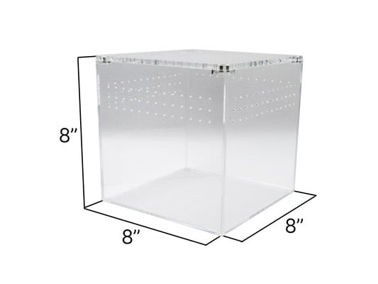 Acrylic Habitat 8x8x8