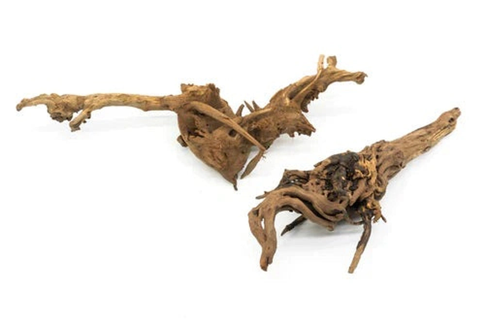 UNS Amazon Driftwood per Pound Aquatic Wood & Rock UNS 