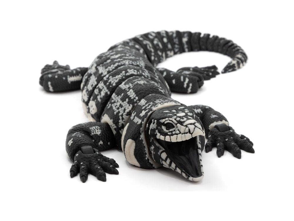 Custom 3D Printed Toys Aquatic Diet Dubia.com Realistic Argentina Black and White Tegu 