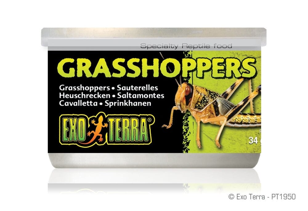 Exo Terra Canned Grasshoppers Exo Terra