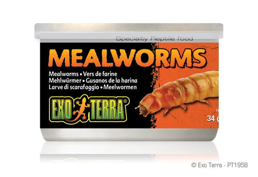 Exo Terra Canned Mealworms Exo Terra