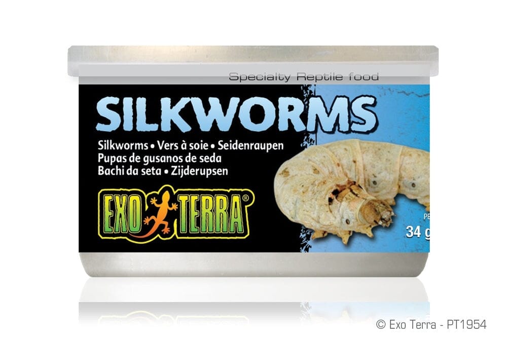 Exo Terra Canned Silkworms Exo Terra 