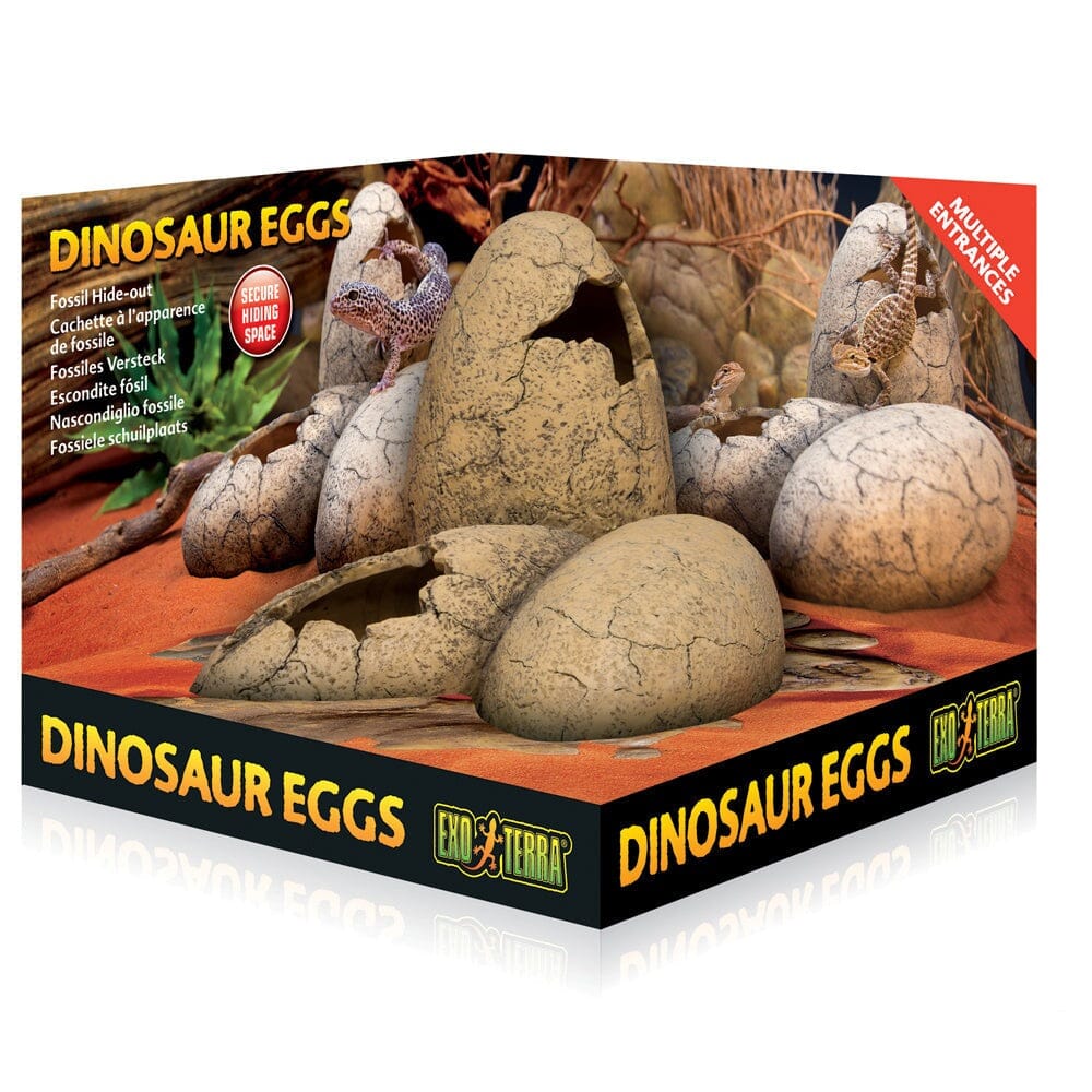 Exo Terra Dinosaur Eggs Fossil Hideout, Large Exo Terra 