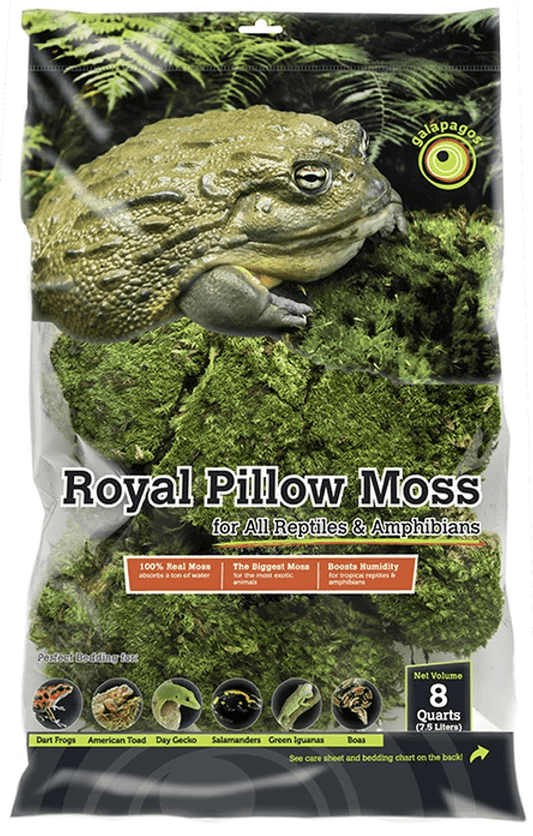 Galapagos Royal Pillow Moss, 150 in³ Galapagos