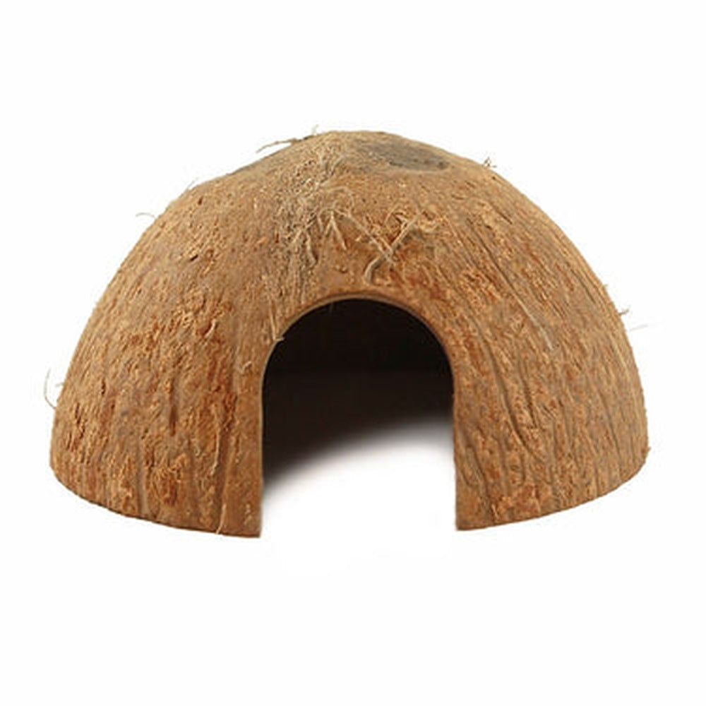 Pangea CocoHut