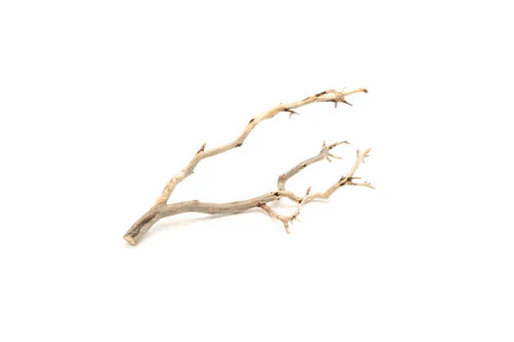 UNS Manzanita Driftwood - Medium (10-15") Aquatic Wood & Rock UNS 