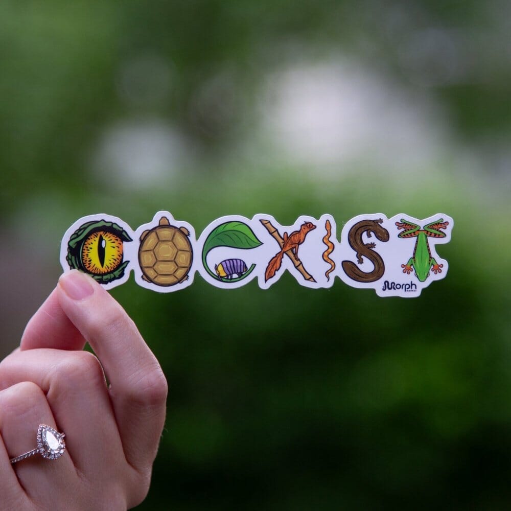 Coexist Sticker (Color) Sticker Dubia.com Die-Cut