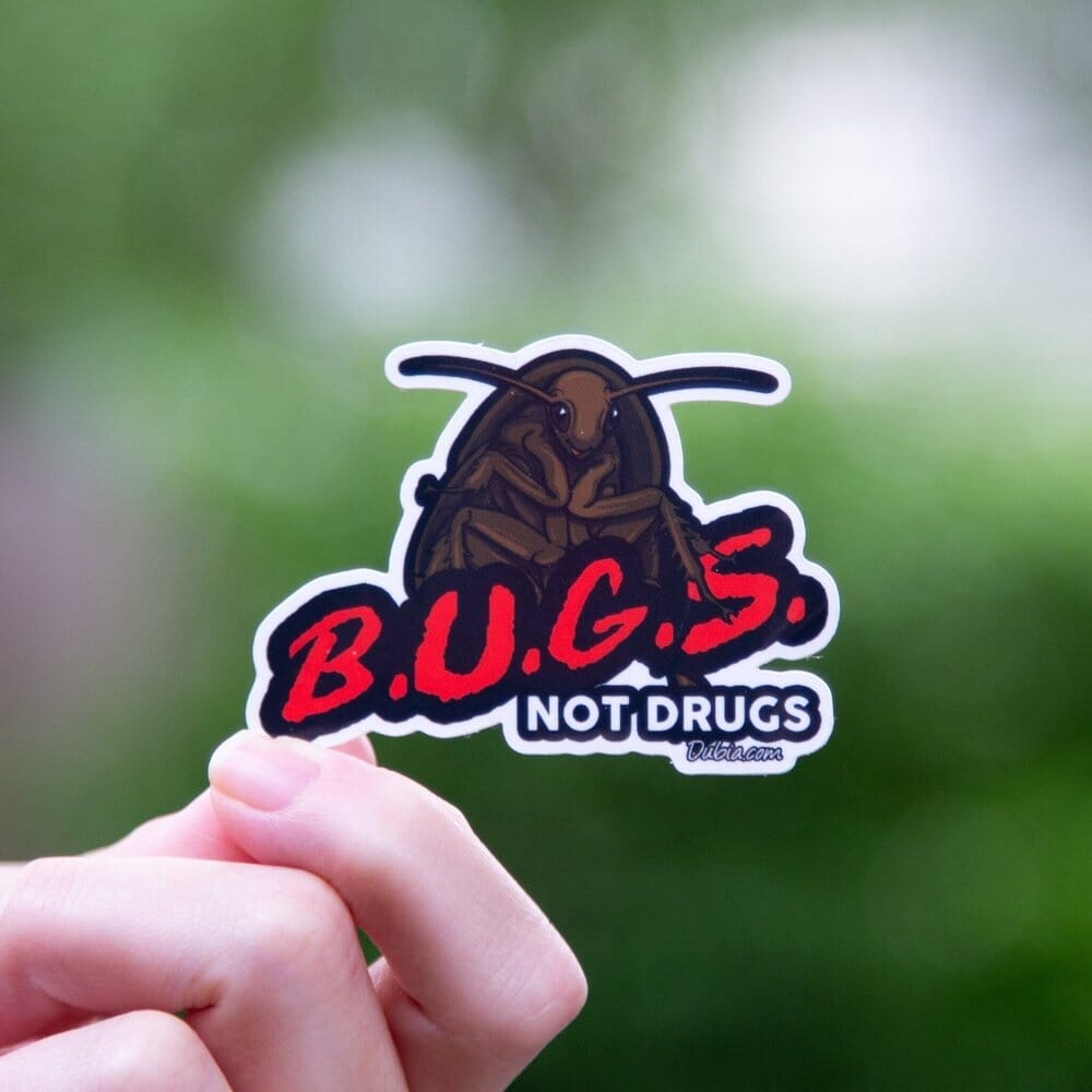 Bugs Not Drugs sticker Sticker Dubia.com Small