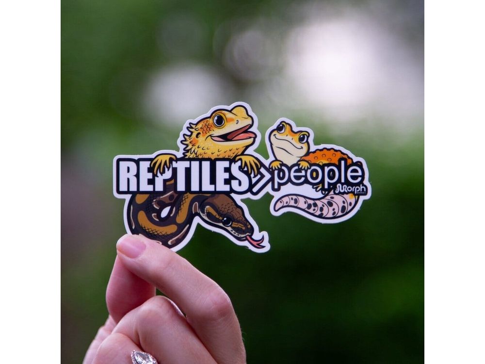 Reptiles > People Sticker Sticker Dubia.com Die-Cut