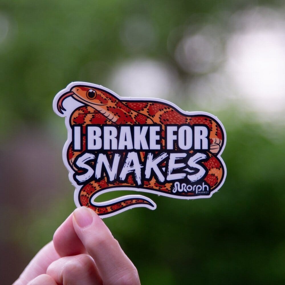 I Brake For Snakes Sticker Sticker Dubia.com Die-Cut 