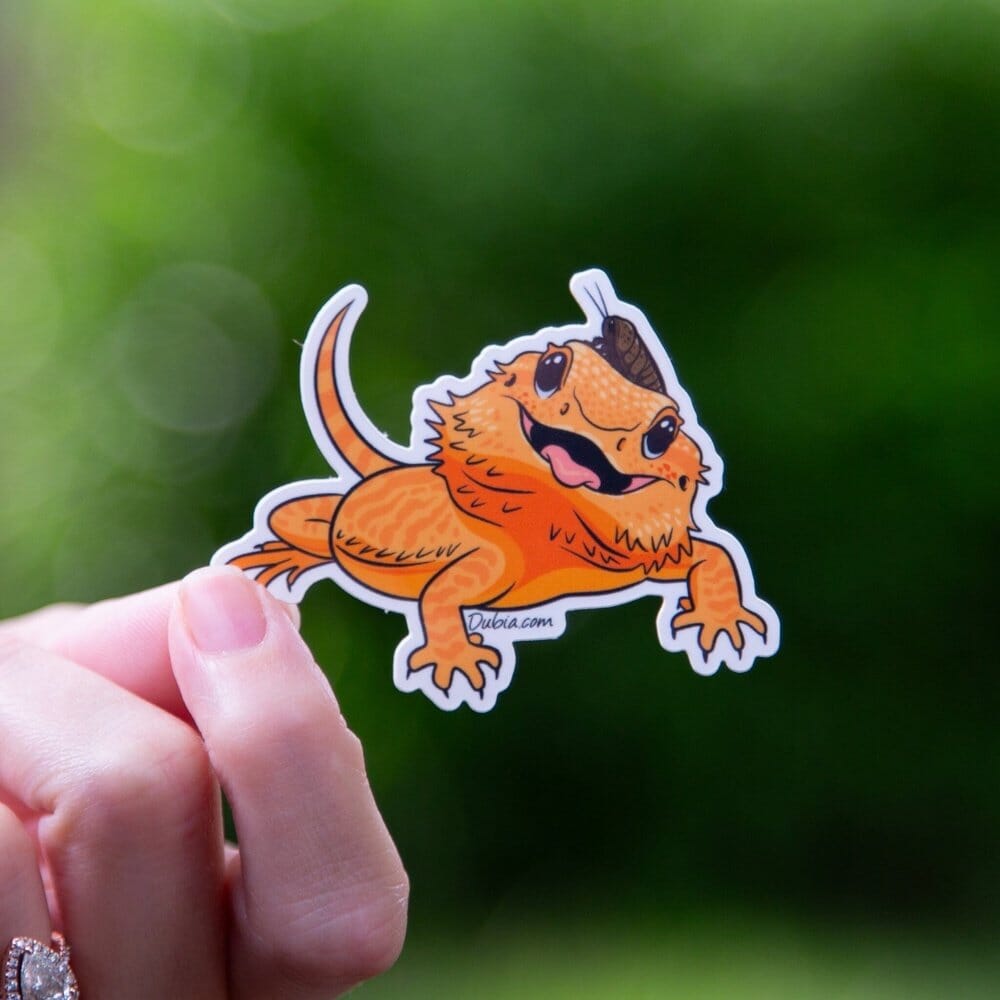 Orange Beardie Open Mouth Sticker Sticker Dubia.com Die-Cut