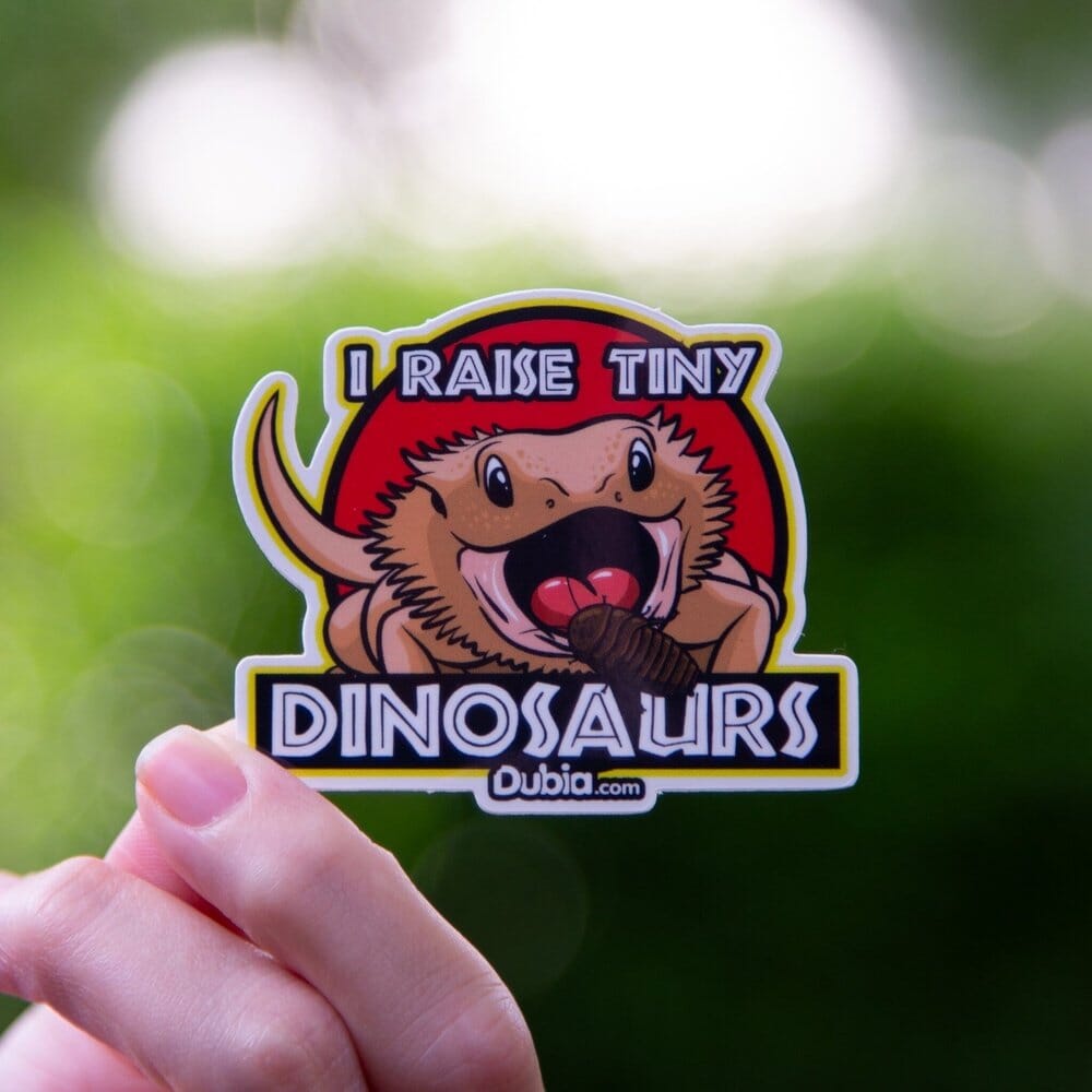 I Raise Tiny Dinosaurs Sticker Sticker Dubia.com Die-Cut