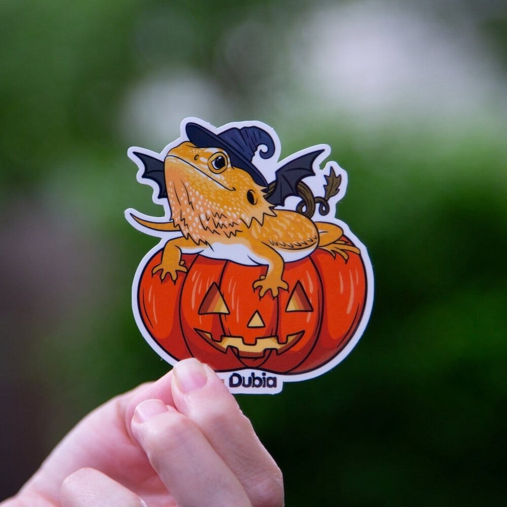 Pumpkin Beardie Sticker Sticker Dubia.com Die-Cut 