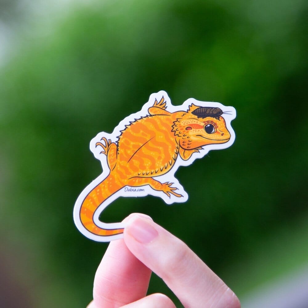 Orange Beardie Sticker Sticker Dubia.com Die-Cut