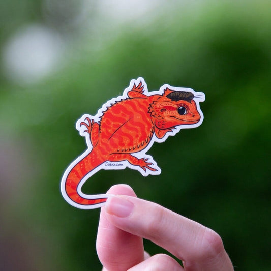 Red Beardie Sticker Sticker Dubia.com Die-Cut 