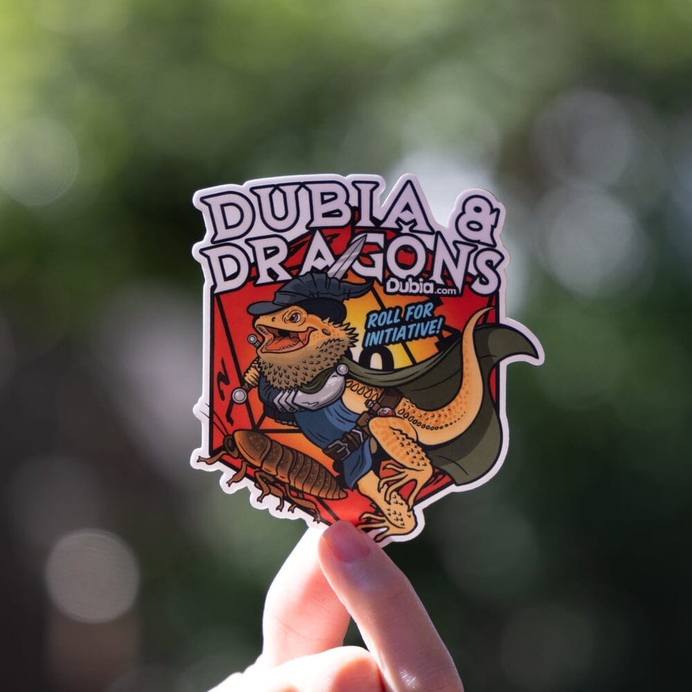 Dubia & Dragons Sticker Sticker Dubia.com