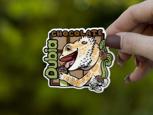 Dubia Chocolate Sticker