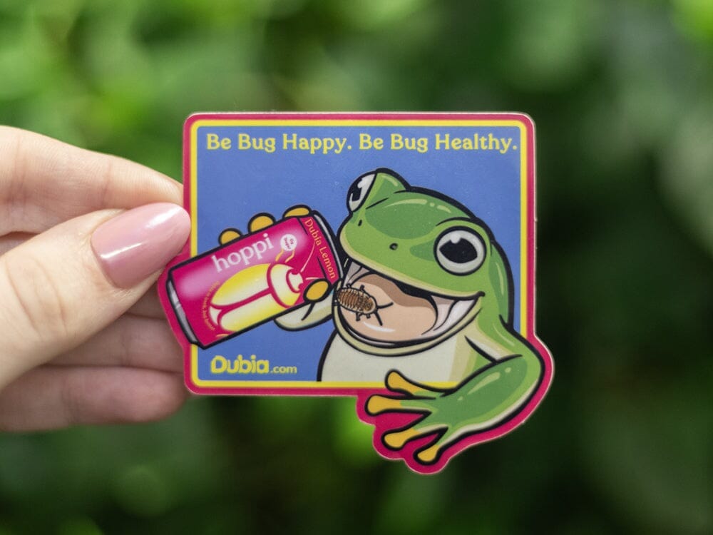 Be Bug Happy Sticker Dubia.com 
