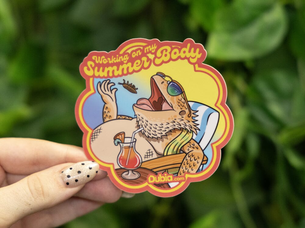Summer Body Sticker