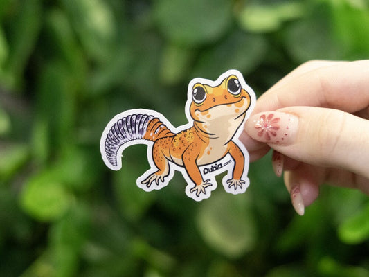 Orange Leopard Sticker Dubia.com 