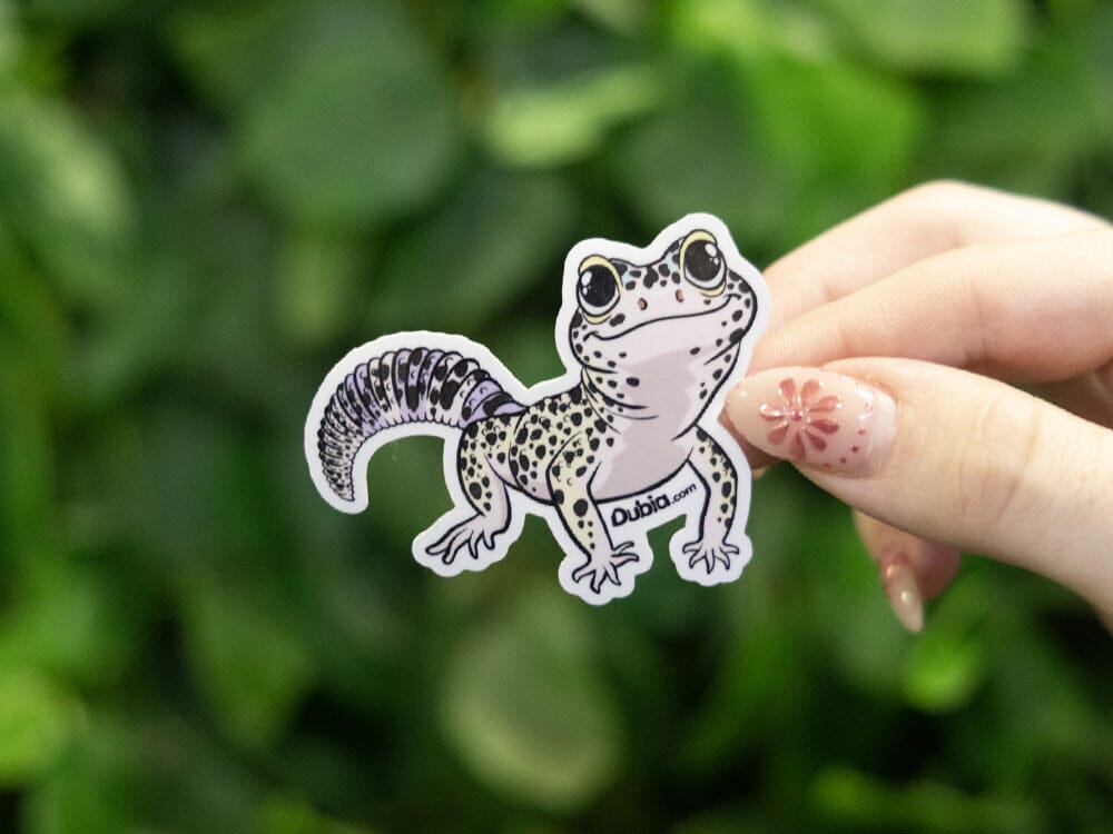 Grey Leopard Sticker Dubia.com 