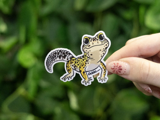 Yellow Leopard Sticker Dubia.com 
