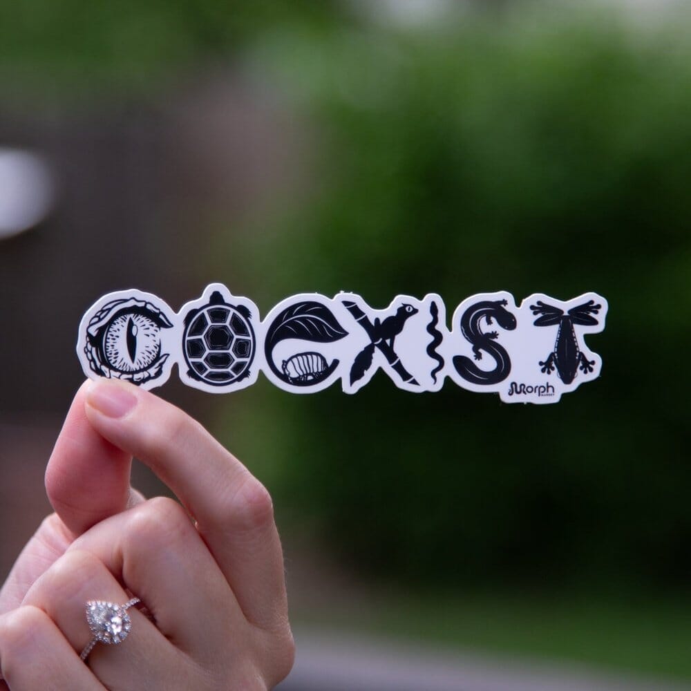 Coexist Sticker (B&W) Sticker Dubia.com Die-Cut