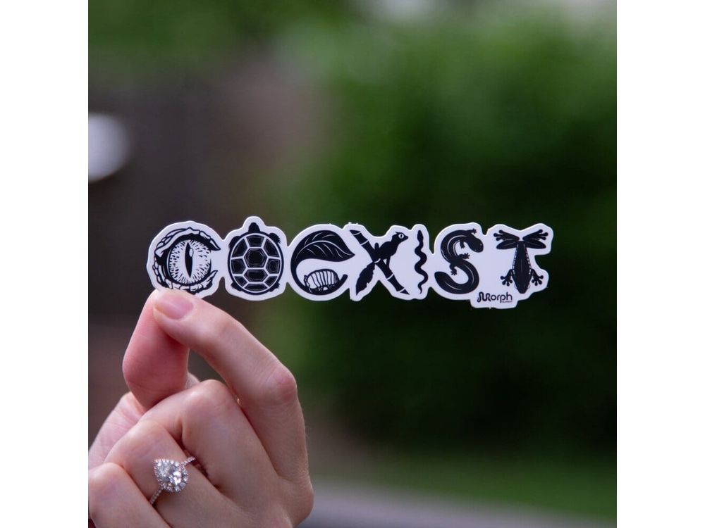 Coexist Sticker (B&W) Sticker Dubia.com Die-Cut