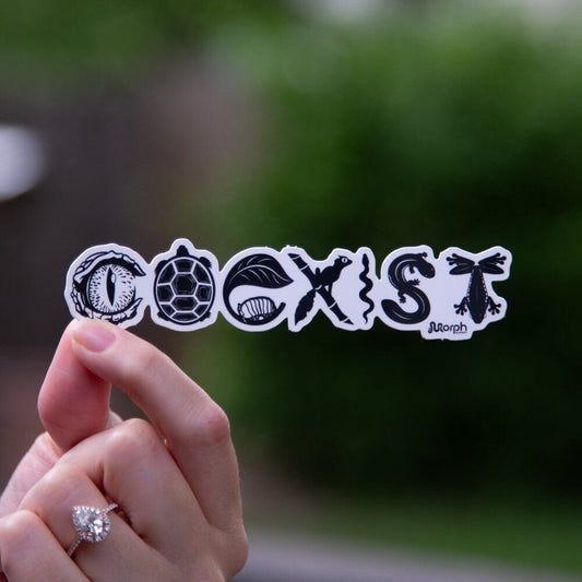 Coexist Sticker (B&W) Sticker Dubia.com Die-Cut 