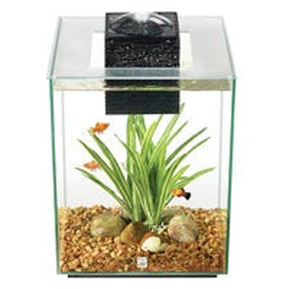 Fluval Chi - 19 L 5 US Gal