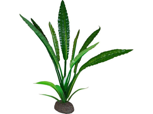 Fluval Betta Water Trumpet Plant - 20 cm (8 in) Fish Supplies Fluval