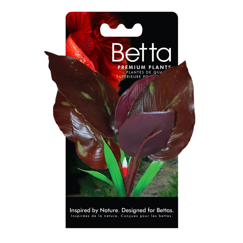 FLUVAL BETTA RED LIZARD PLANT - 15 CM 6 IN