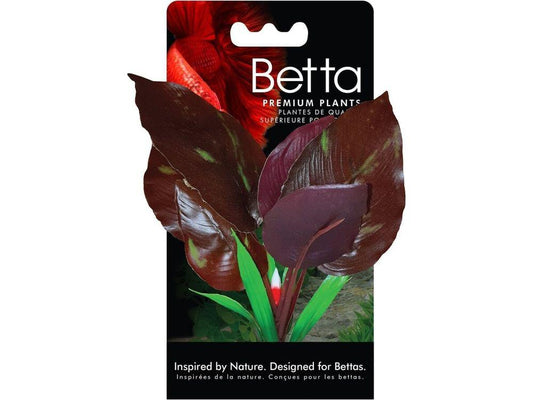 FLUVAL BETTA RED LIZARD PLANT - 15 CM (6 IN) Fish Supplies Fluval