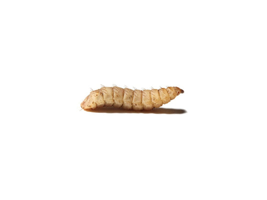 Large NutriGrubs™