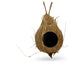 Pangea Hanging Coconut