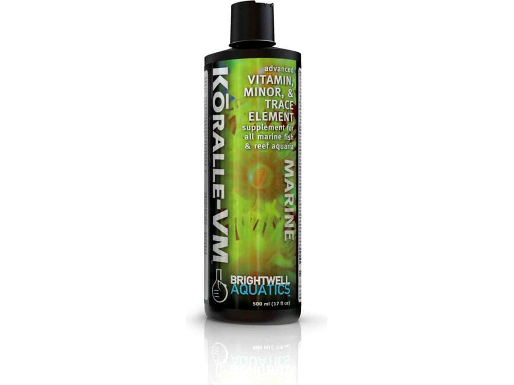 Koralle-VM 250ml
