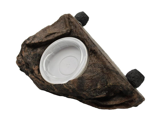 Lg Worm Feeder Ledge - Earth