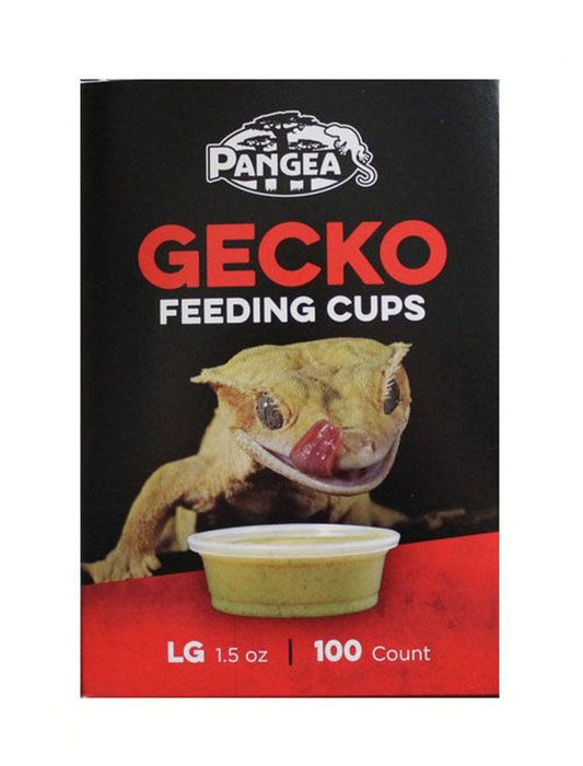 Pangea Large Gecko Feeding Cups - 100ct Pangea