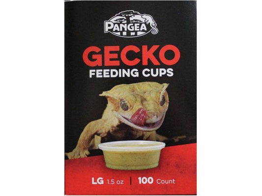 Pangea Large Gecko Feeding Cups - 100ct Pangea